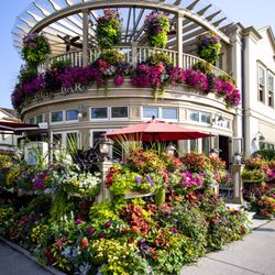 Shaw Cafe & Wine Bar