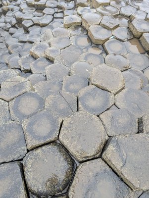 Giant's Causeway by null