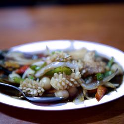 Jasmine & The New Taste