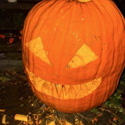 Whitcomb's Land of Pumpkins and Corn Maze