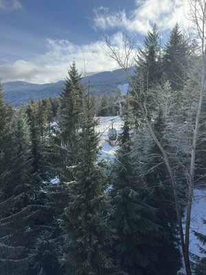 The Westin Resort & Spa, Whistler by null