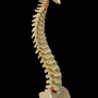Photo of Capital District Interventional Spine & Rehabilitation