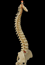 Capital District Interventional Spine & Rehabilitation