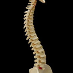 Capital District Interventional Spine & Rehabilitation