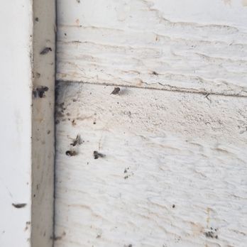 White Knight Pest Control - Pest Control Near Me - Norman, Oklahoma