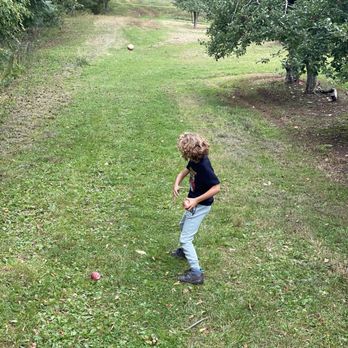 Beemerville Orchards - a young boy playing baseball - Fruits & Veggies Near Me - Sussex, New Jersey Beemerville Orchards - a young boy playing baseball - Fruits & Veggies Near Me - Sussex, New Jersey