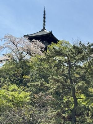 Sankeien Garden by null