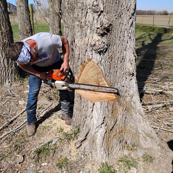 Lumber Jake's Tree service - Tree Services Near Me - Idaho Falls, Idaho Lumber Jake's Tree service - Tree Services Near Me - Idaho Falls, Idaho