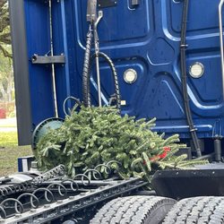 Walmart Garden Center - Santa's sleigh from Walmart to home