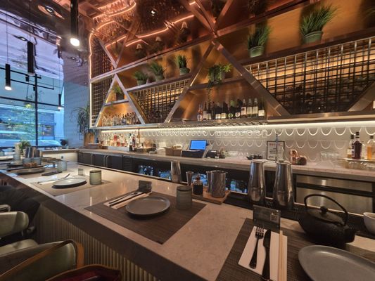 Planta Queen by null