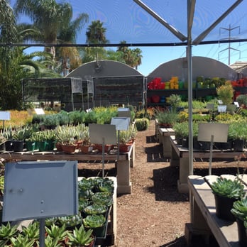 OC Succulents - Nurseries & Gardening Near Me - Irvine, California OC Succulents - Nurseries & Gardening Near Me - Irvine, California