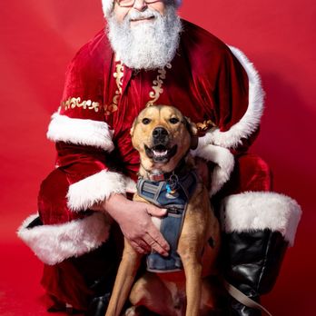 Solo's Park & Pub - Dog Parks Near Me - Oklahoma City, Oklahoma Solo's Park & Pub - Dog Parks Near Me - Oklahoma City, Oklahoma