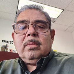AutoNation Auto Auction Houston
