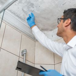 Rolo Home Inspections