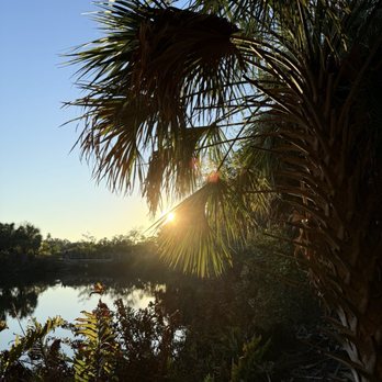 Wall Springs Park - View from the trail! - Parks Near Me - Palm Harbor, Florida Wall Springs Park - View from the trail! - Parks Near Me - Palm Harbor, Florida