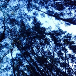 The Wright Ranch