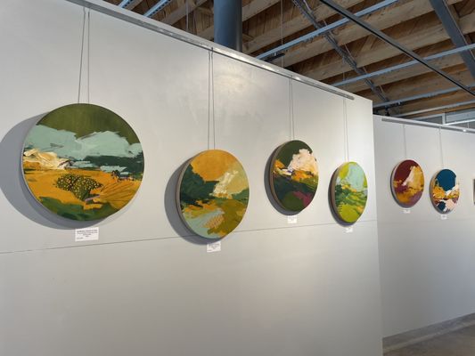 Borrego Art Institute by null
