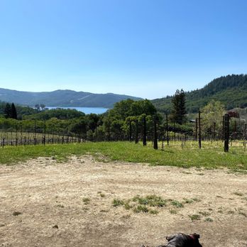 Aonair Wine - Wineries Near Me - St Helena, California