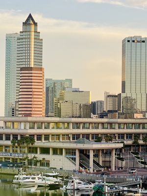Tampa Riverwalk by null