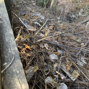 Kennesaw Junk Removal - Yard Debris cleanup - Junk Removal & Hauling Near Me Kennesaw Junk Removal - Yard Debris cleanup - Junk Removal & Hauling Near Me