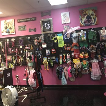 Dawn's Pet Palace - Dawns Pet Palace Surplus. - Pet Groomers Near Me - Carmichael, California Dawn's Pet Palace - Dawns Pet Palace Surplus. - Pet Groomers Near Me - Carmichael, California