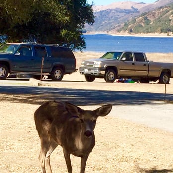 Coyote Lake Harvey Bear Ranch County Park - Hiking Near Me - Gilroy, California