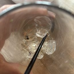 I was just drinking my lce tea then I discovered at the bottom of the glass a dead fly. I was just drinking my lce tea then I discovered at the bottom of the glass a dead fly.