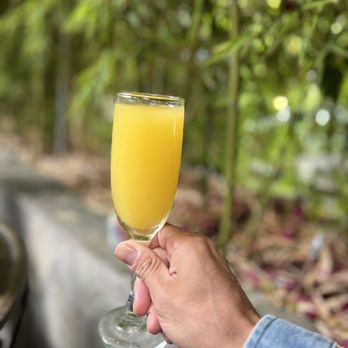 Garden Cafe - Mimosa - Breakfast & Brunch Near Me - Sherman Oaks, California