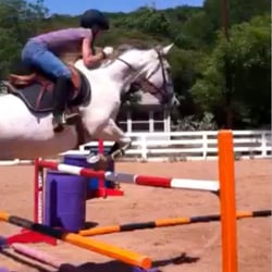 Spicewood Farms - Jumping facilities!