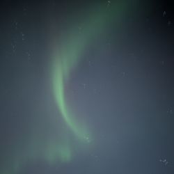 1st Alaska Tours - Pardon my photo skills on my cell phone!