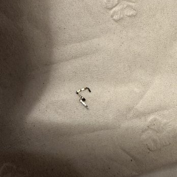 Thai Sapa - I ordered the drunk noodle to go and found this piece of metal in my dish. Not happy! - Thai Near Me - Springdale, Utah