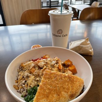 Urbane Cafe - UC Shrimp Bowl - Sandwiches Near Me - Encinitas, California Urbane Cafe - UC Shrimp Bowl - Sandwiches Near Me - Encinitas, California