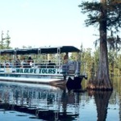 Fisheagle Tours - Swamp Tour Boat