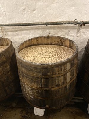 Pilsner Urquell Brewery by null