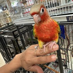 Gallery of Pets - My new baby