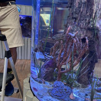 Marine Science Center - Aquariums Near Me - Ponce Inlet, Florida Marine Science Center - Aquariums Near Me - Ponce Inlet, Florida