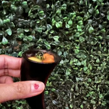 Blind Ox - Uni oyster shooter - Tapas/Small Plates Near Me - Honolulu, Hawaii Blind Ox - Uni oyster shooter - Tapas/Small Plates Near Me - Honolulu, Hawaii