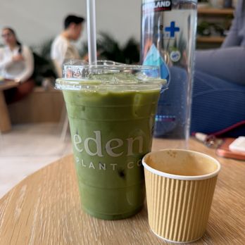 Eden Plant - Coffee & Tea Near Me - Houston, Texas Eden Plant - Coffee & Tea Near Me - Houston, Texas