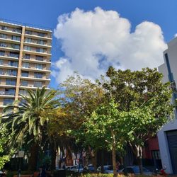 Jolly Swagman Backpackers & Budget Accommodation - Just outside the entrance