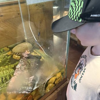 Gator Country - Zoos Near Me - Beaumont, Texas