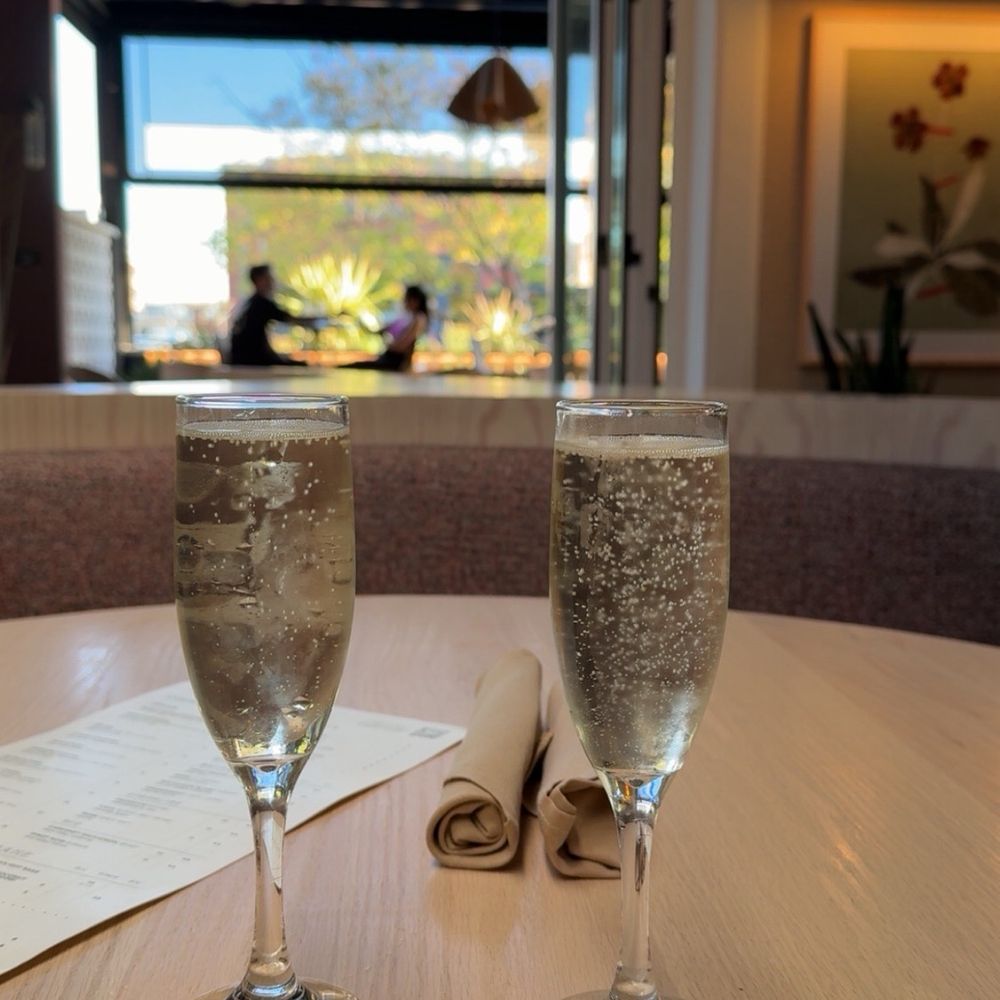 Palma - Champagne - Whiskey Bars Near Me - Dallas, Texas Palma - Champagne - Whiskey Bars Near Me - Dallas, Texas