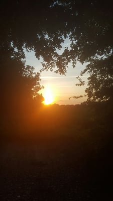 Delta Heritage Trail State Park by null