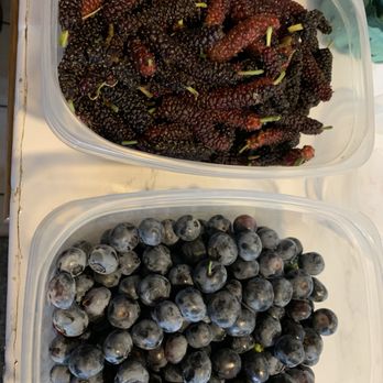 Lighthouse Community Garden - Washed and ready to eat - Farmers Market Near Me - Dana Point, California