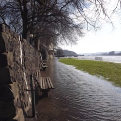 Rheinfähre Linz - Kripp