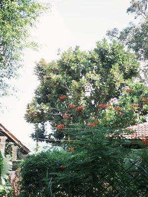 Open Farm Community by null Open Farm Community by null