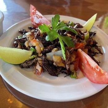 LA Oaxaca Restaurant - Chapulines - Mexican Near Me - Los Angeles, California LA Oaxaca Restaurant - Chapulines - Mexican Near Me - Los Angeles, California