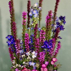 Beautiful Flowers and More