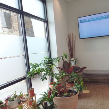 Premier Orthodontics - Waiting room plants - Orthodontists Near Me - Redmond, Washington