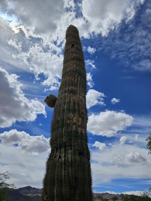 Lake Mead National Recreation Area by null
