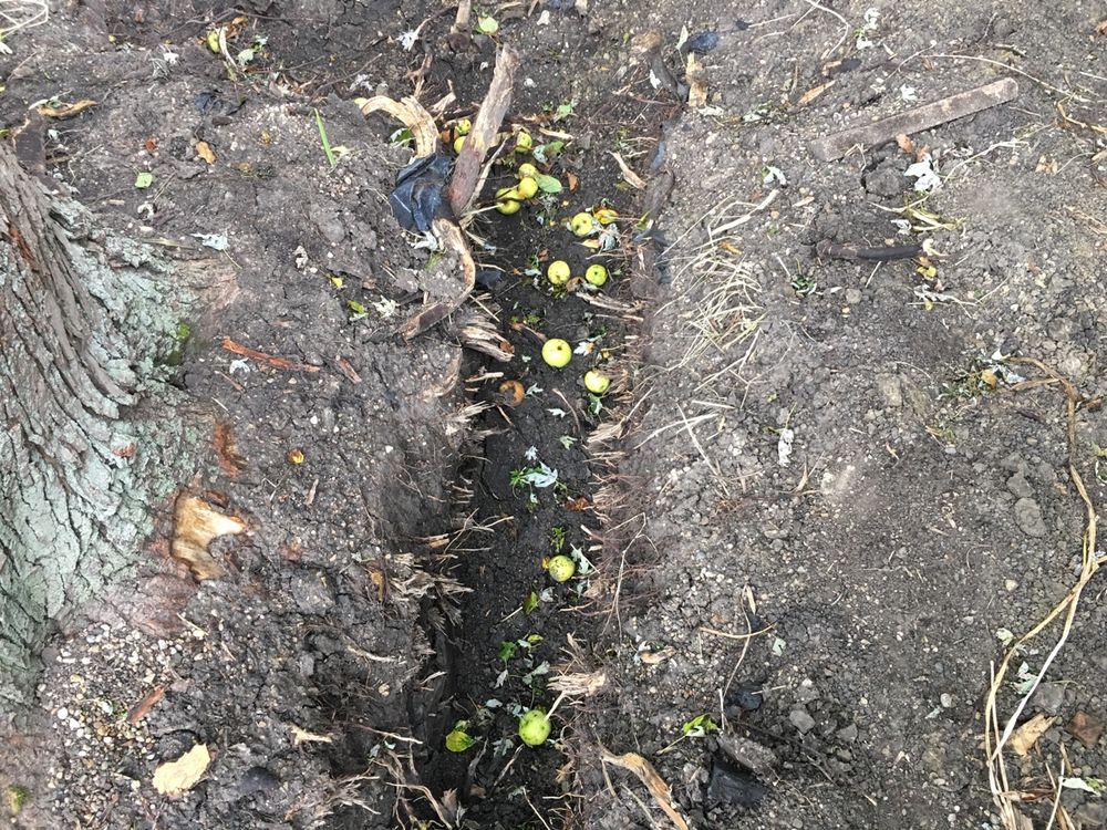 Slide of All Clear Sewer & Plumbing